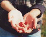 Фотография Степанец Александр