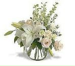 Аліна Стасячек фотография #4 (источник - https://vk.com/id100333077)