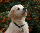 Фотография Зайки Насти