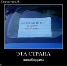 Дима Катаев фотография #22 (источник - https://vk.com/id12897255)