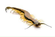 Igor Petrov фотография #3 (источник - https://vk.com/id1485050)