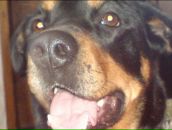 Фотография Смирновой Татьяны