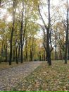 Олена Кіфяк фотография #23 (источник - https://vk.com/id9942574)
