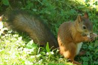 Сергей Никитин фотография #33 (источник - https://vk.com/id1499985)