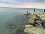 Фотография Ромашкиной Dvj