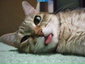 Фотография Яромира Андрея