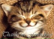 Фотография Волковой Екатерины