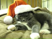 Фотография Андреевой Ксении