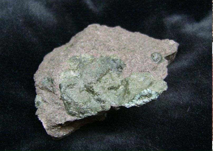 Лев Августский фотография #12