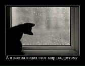 Фотография Бураковой Анны