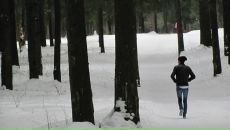 Фотография Потёмкина Евгения