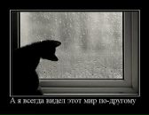 Фотография Огнева Ольга