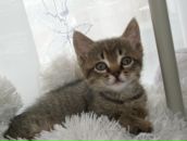 Валерій Матіїшин фотография #21 (источник - https://vk.com/id13193276)