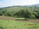 Міша Ковалишин фотография #30 (источник - https://vk.com/id151220952)