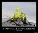 Артем Селідов фотография #13 (источник - https://vk.com/id2802987)