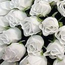 Іра Сакундяк фотография #33 (источник - https://vk.com/id35307343)