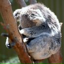 Фотография Фоминой Алиночки