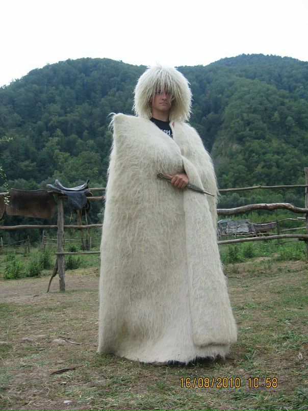 Дмитрий Сергеев фотография #47