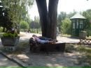 Катя Скібчик фотография #14 (источник - https://vk.com/id65953414)