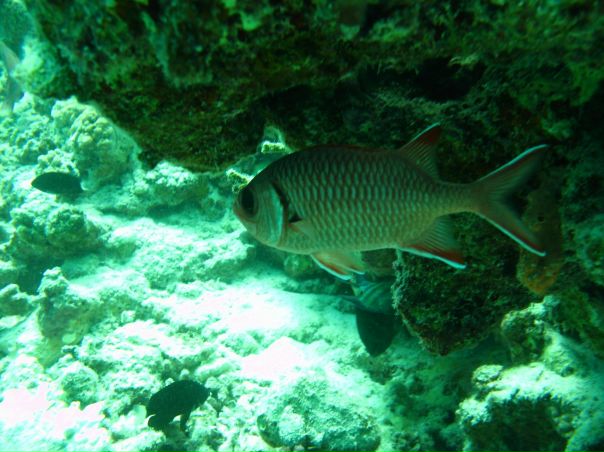 Евгений Коновалов фото №42