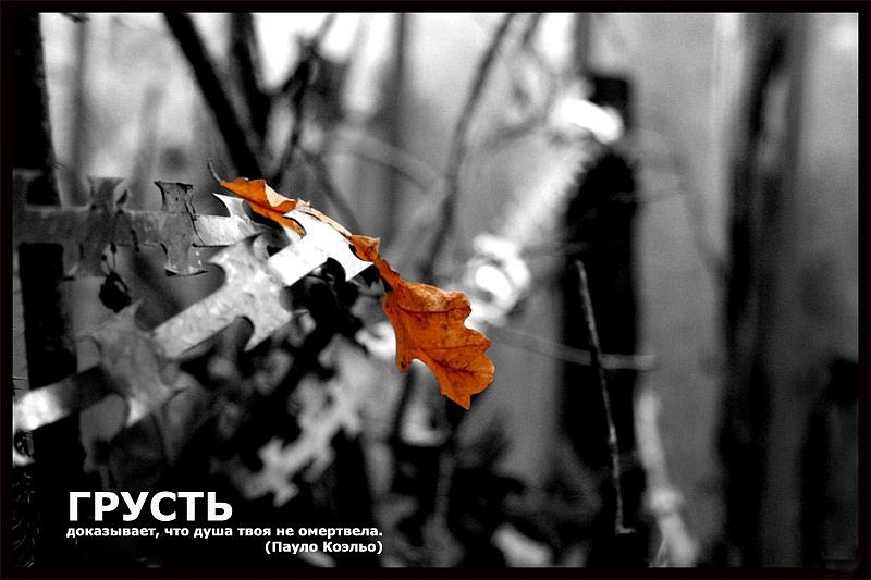 Денис Никитин фотография #11