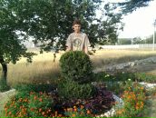 Фотография Горощенко Артема