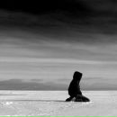 Фотография Никоноровой Станиславы