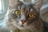 Фотография Авдеенок Марины