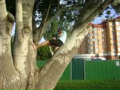 Фотография Иксанова Рафа