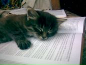 Фотография Орловой Ольги