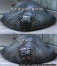 Фотография Малевой Катерины