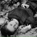 Фотография Тресвятской Дарьи