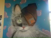 Amir Freeman фотография #29 (источник - https://vk.com/id74279004)