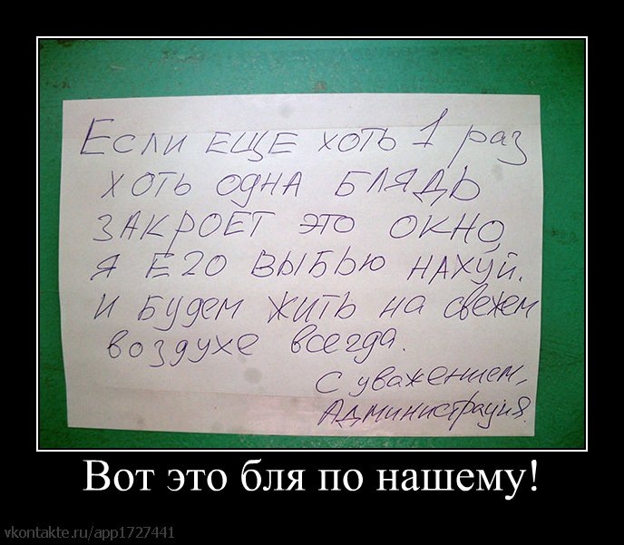 Артём Плотников фотография #13