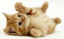 Фотография Пустоветовой Евгении