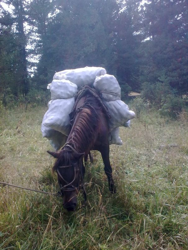 Сергей Плугарь фотография #29