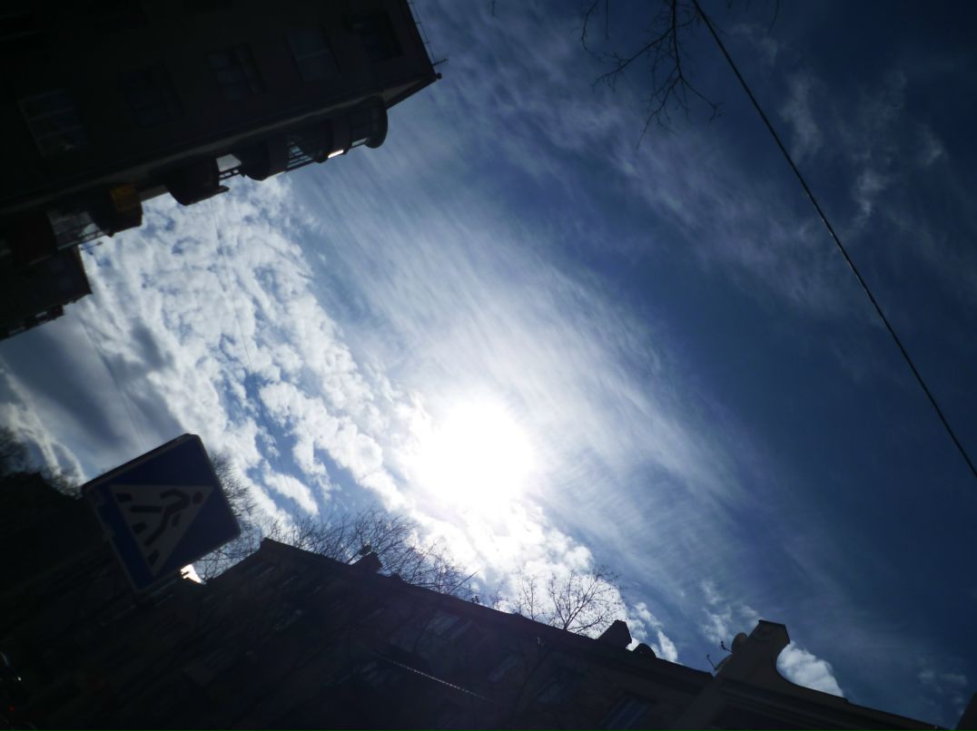 Dragon Fly фотография #26