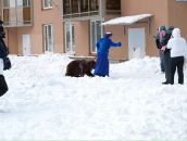 Антон Сергееев фотография #20 (источник - https://vk.com/id220280)