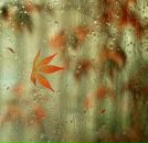 Фотография Заживихиной Юли