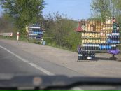 Андрей Дашкевич фотография #5 (источник - https://vk.com/id27937547)