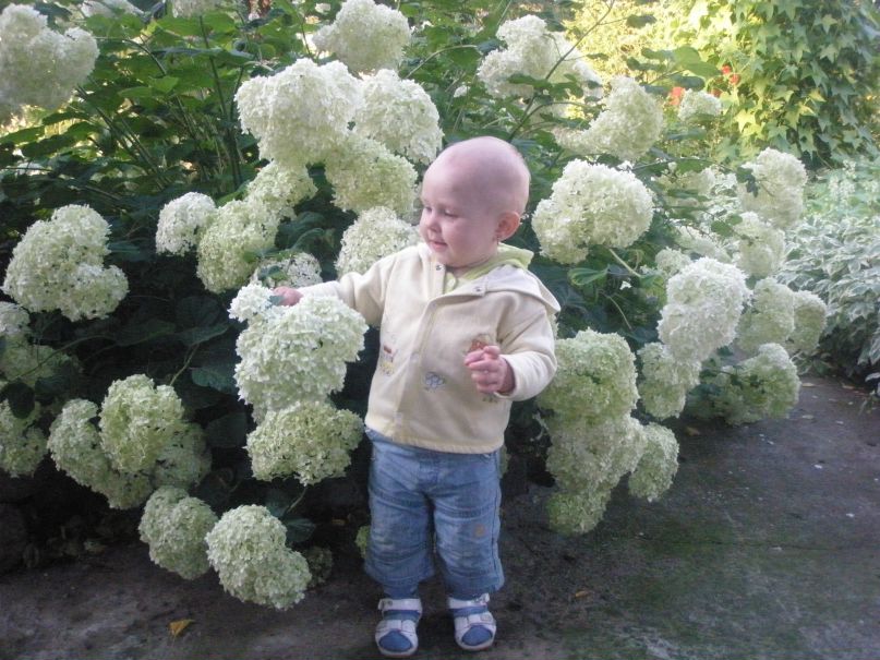 Иван Коледа фотография #8