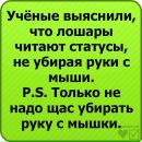 Віка Ковалик фотография #39 (источник - https://vk.com/id101366661)