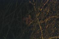 Фотография Садовского Филиппа