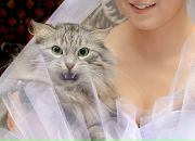 Фотография Анисимовой Марины