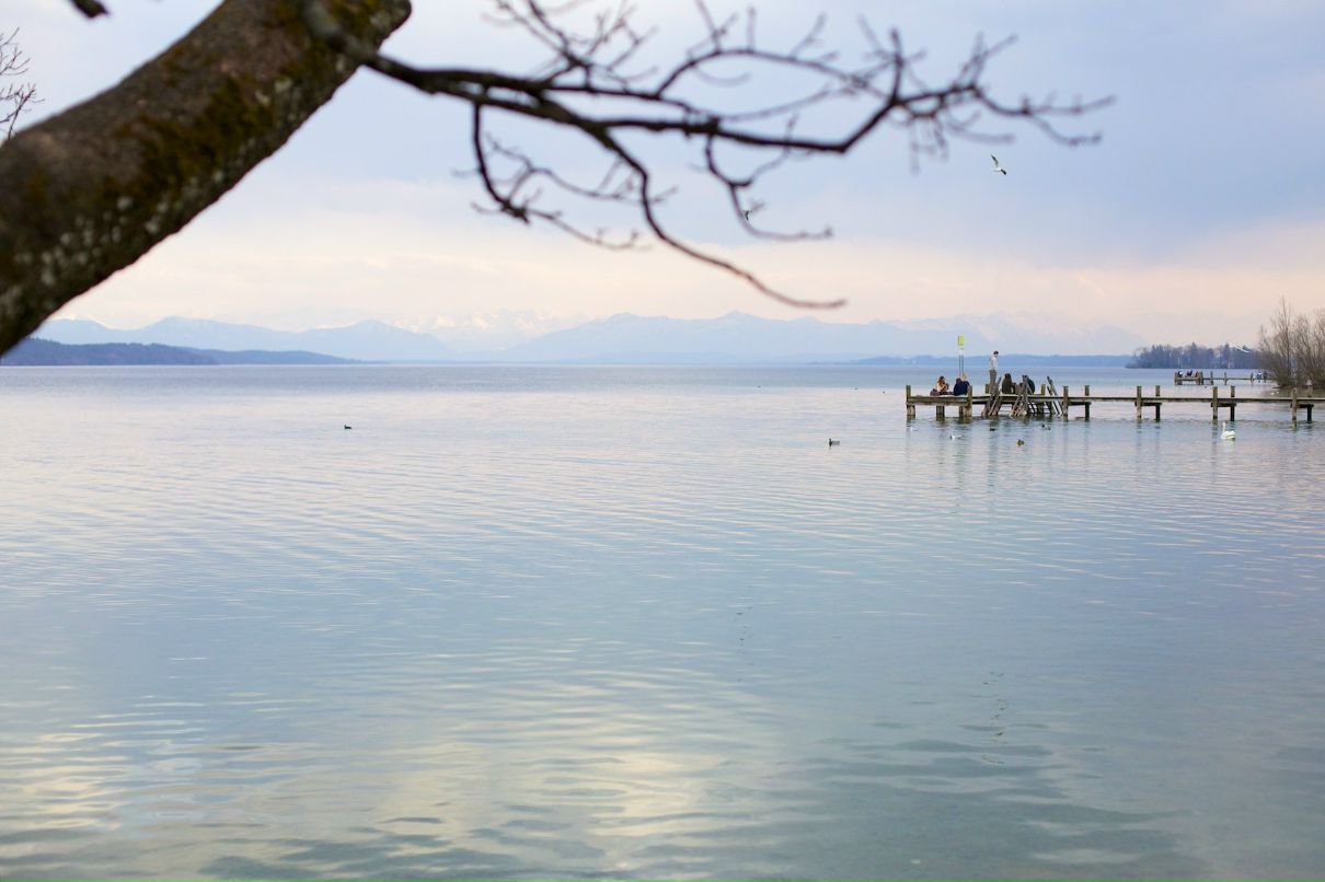 Ольга Петрова фотография #21