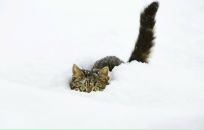 Фотография Эльбек Марины