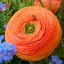 Фотография Гузачевой Елены