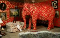 Фотография Ведяшева Андрея