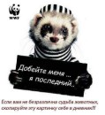 Оксана Бабій фотография #7 (источник - https://vk.com/id79921289)
