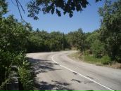 Віта Гончар фотография #10 (источник - https://vk.com/id91125372)